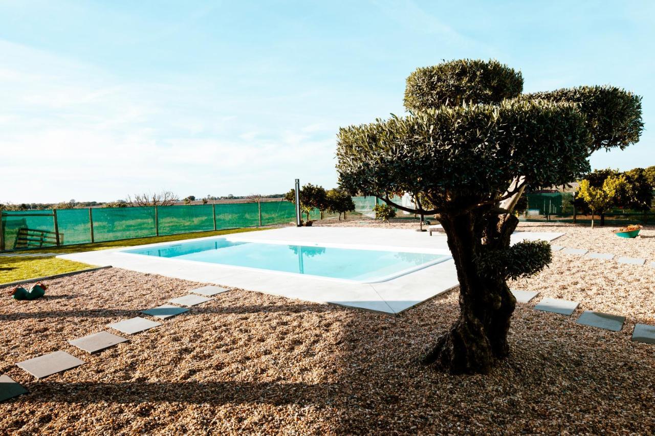Villa Delmira Vineyard House Águas de Moura Exterior foto
